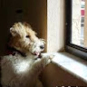 Meet your Posher, Draga